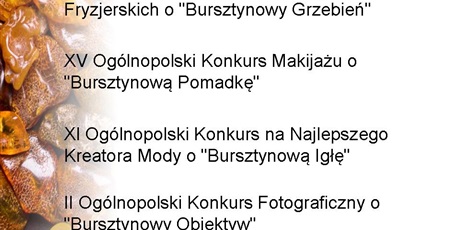 Powiększ grafikę: wyniki-ogolnopolskich-konkursow-bursztynowych-2021-267589.jpg